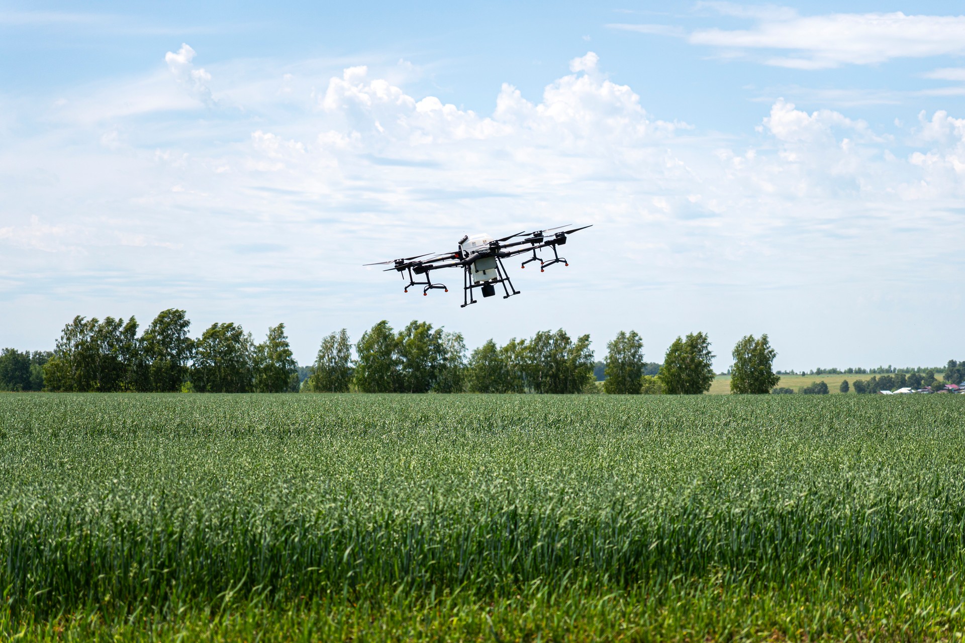 An industrial drone in the sky. Drone sprayer flies over the agricultural field. Smart farming and precision agriculture. Quadrocopter for pollination of plants.